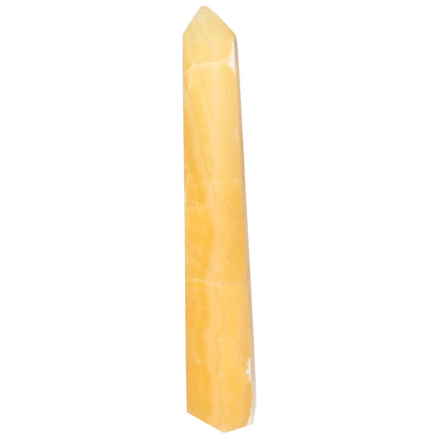 orbitvu|type:image2d