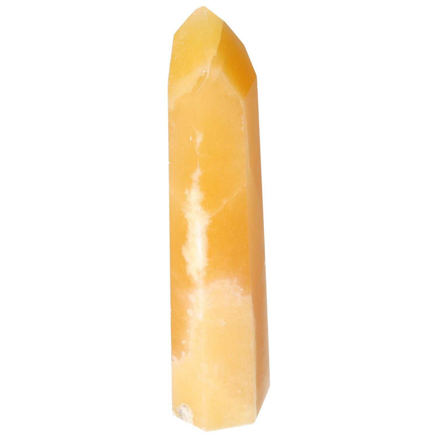 orbitvu|type:image2d