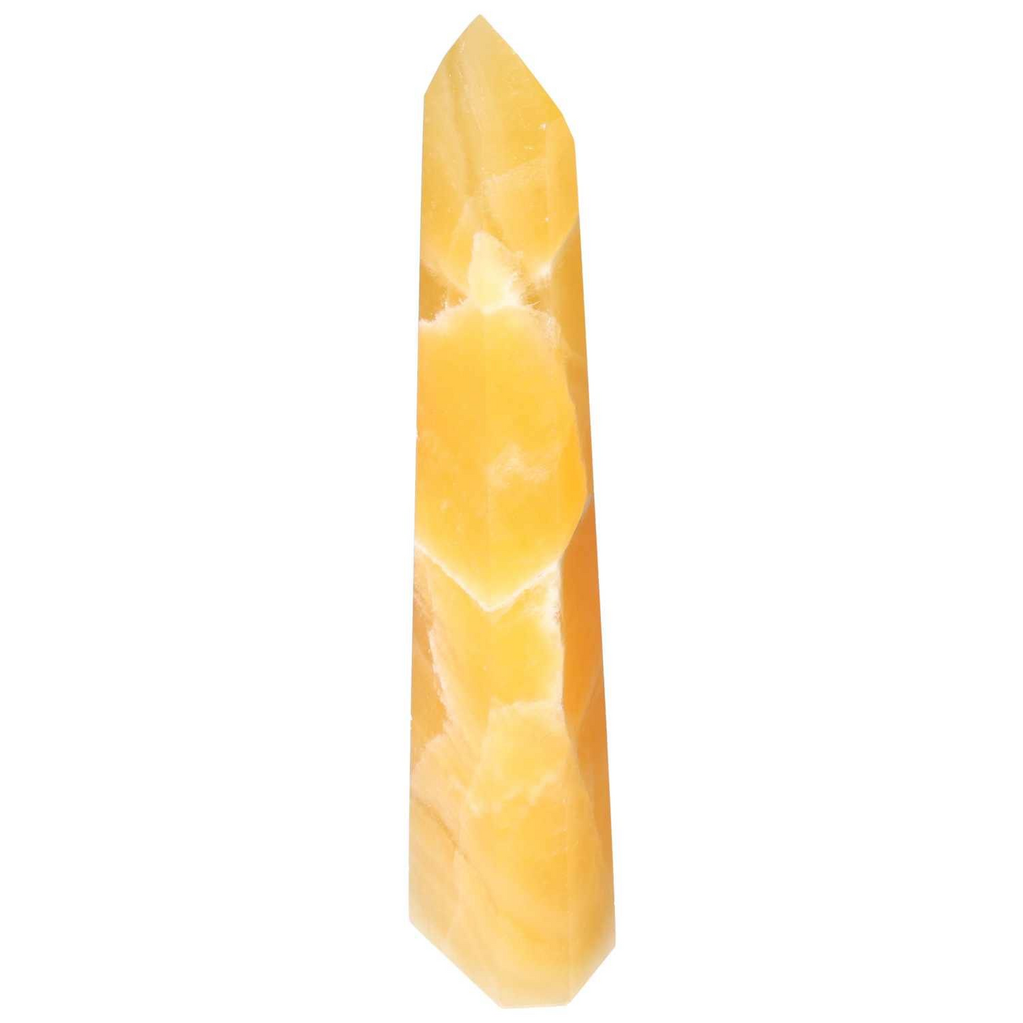 orbitvu|type:image2d