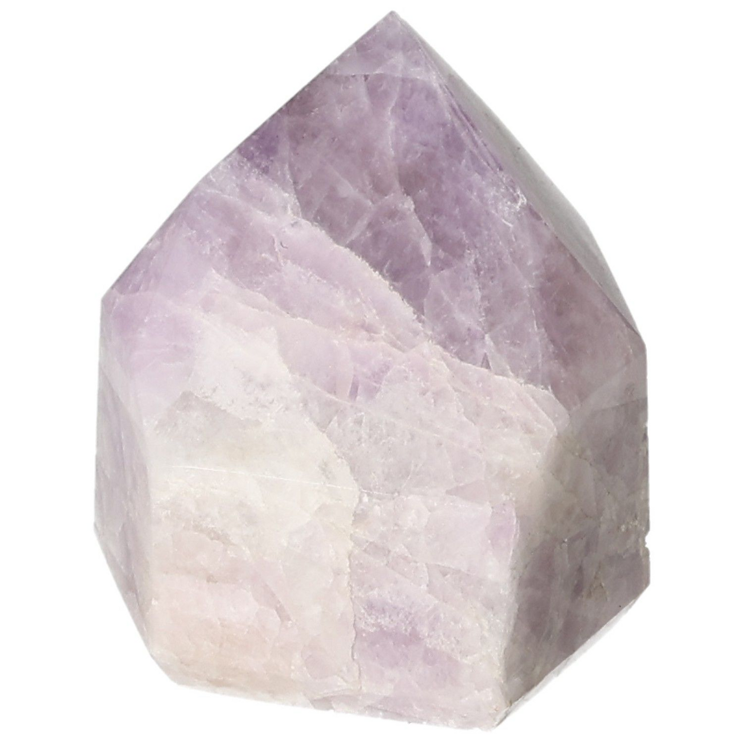 orbitvu|type:image2d