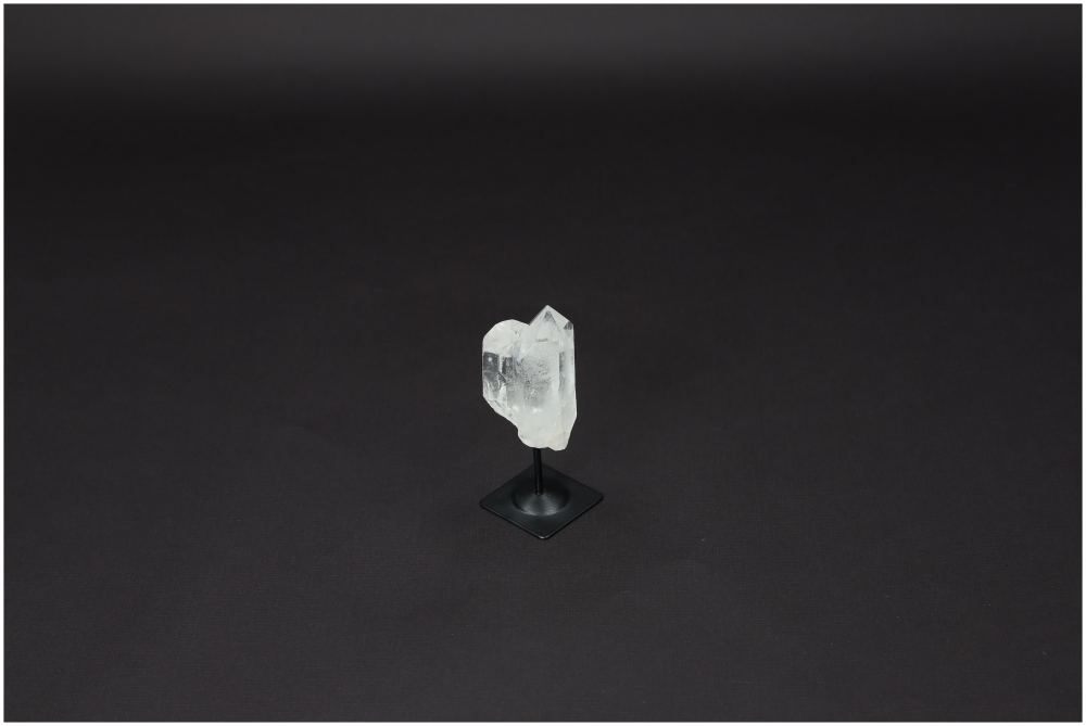 orbitvu|type:image2d