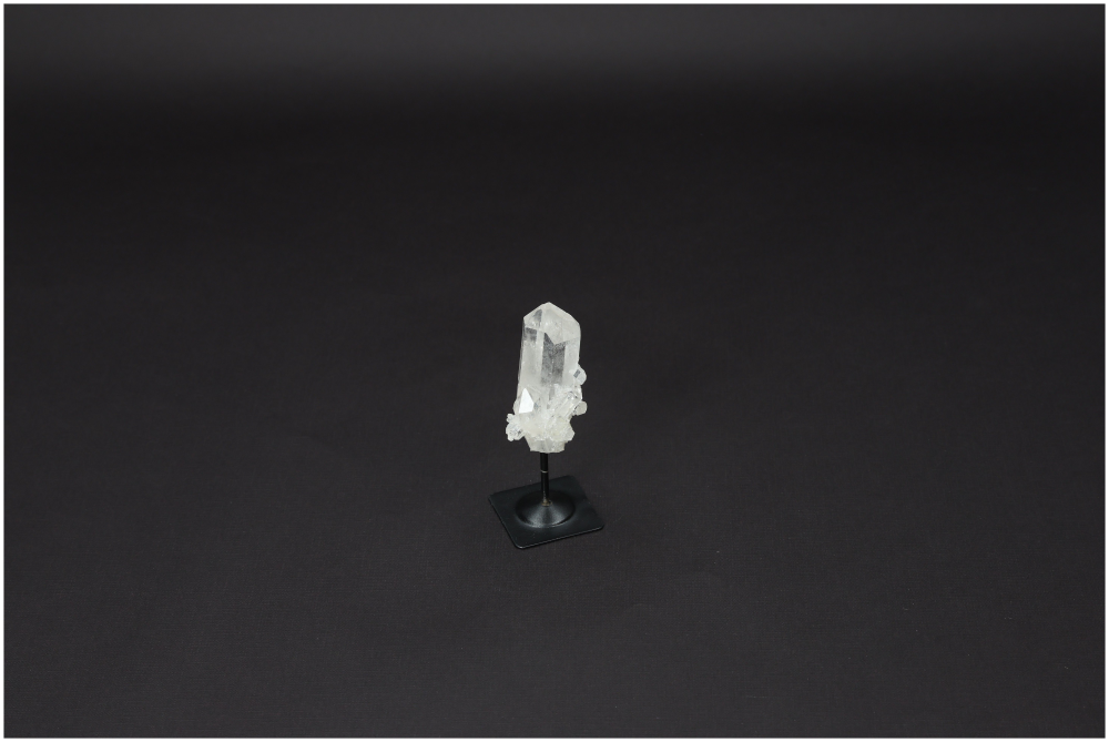 orbitvu|type:image2d