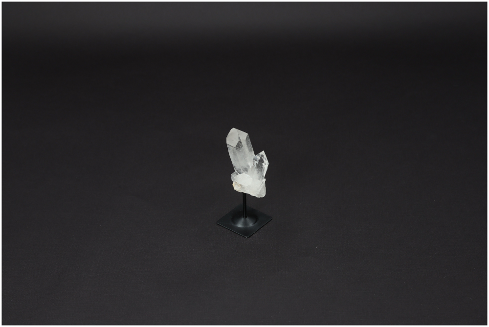 orbitvu|type:image2d