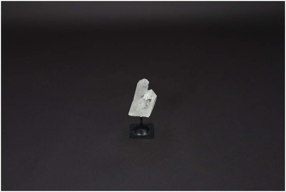 orbitvu|type:image2d