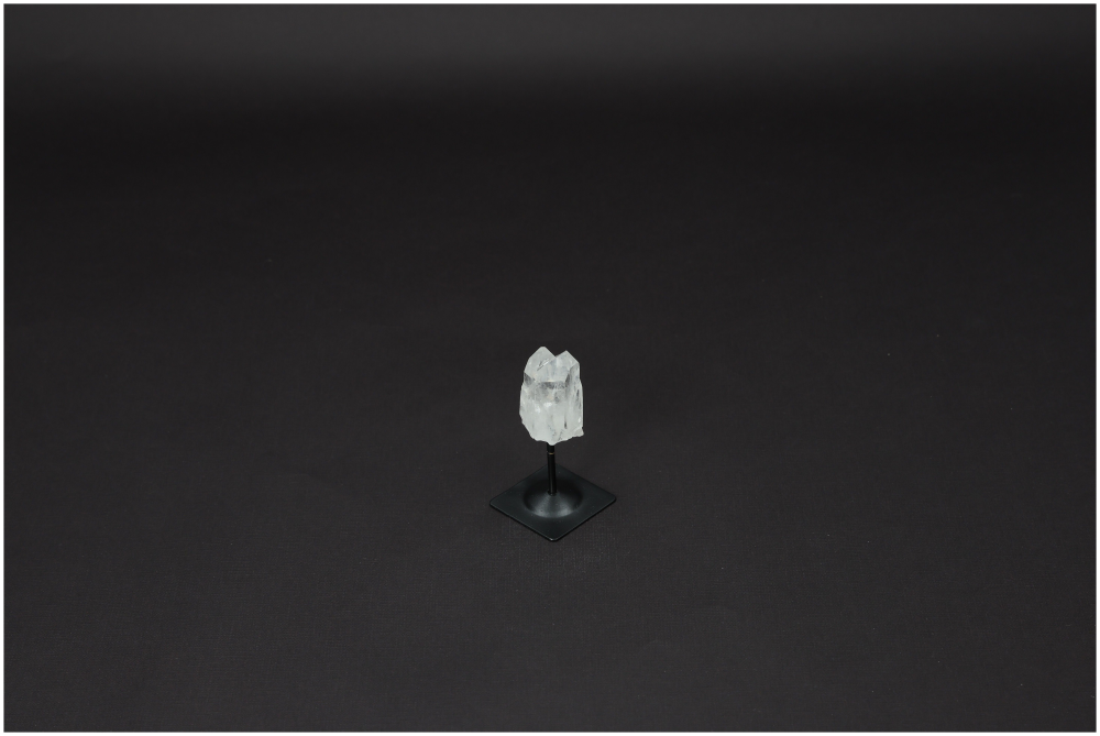 orbitvu|type:image2d