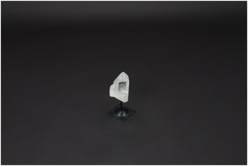orbitvu|type:image2d
