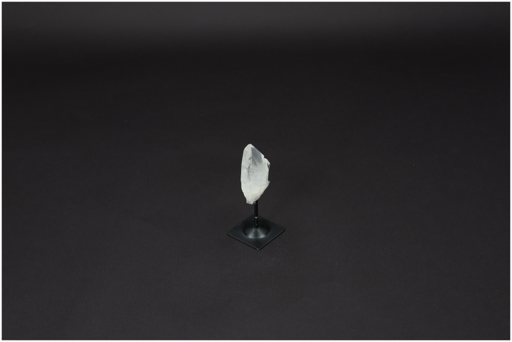 orbitvu|type:image2d