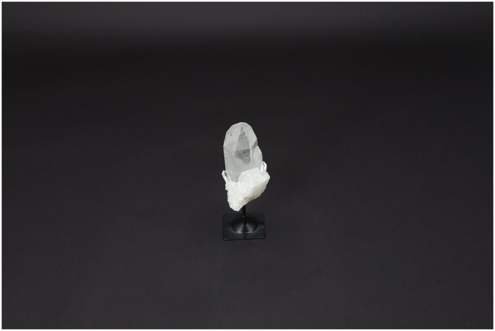 orbitvu|type:image2d