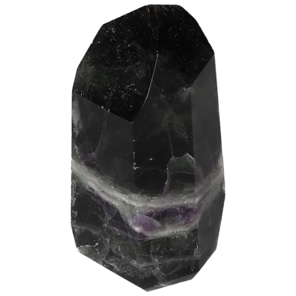 orbitvu|type:image2d