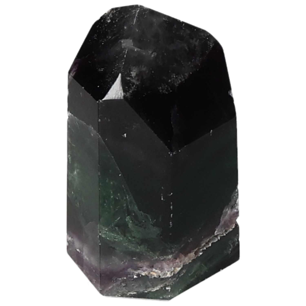 orbitvu|type:image2d