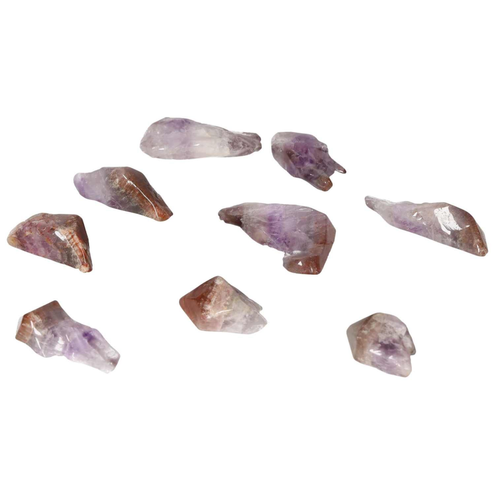 orbitvu|type:image2d
