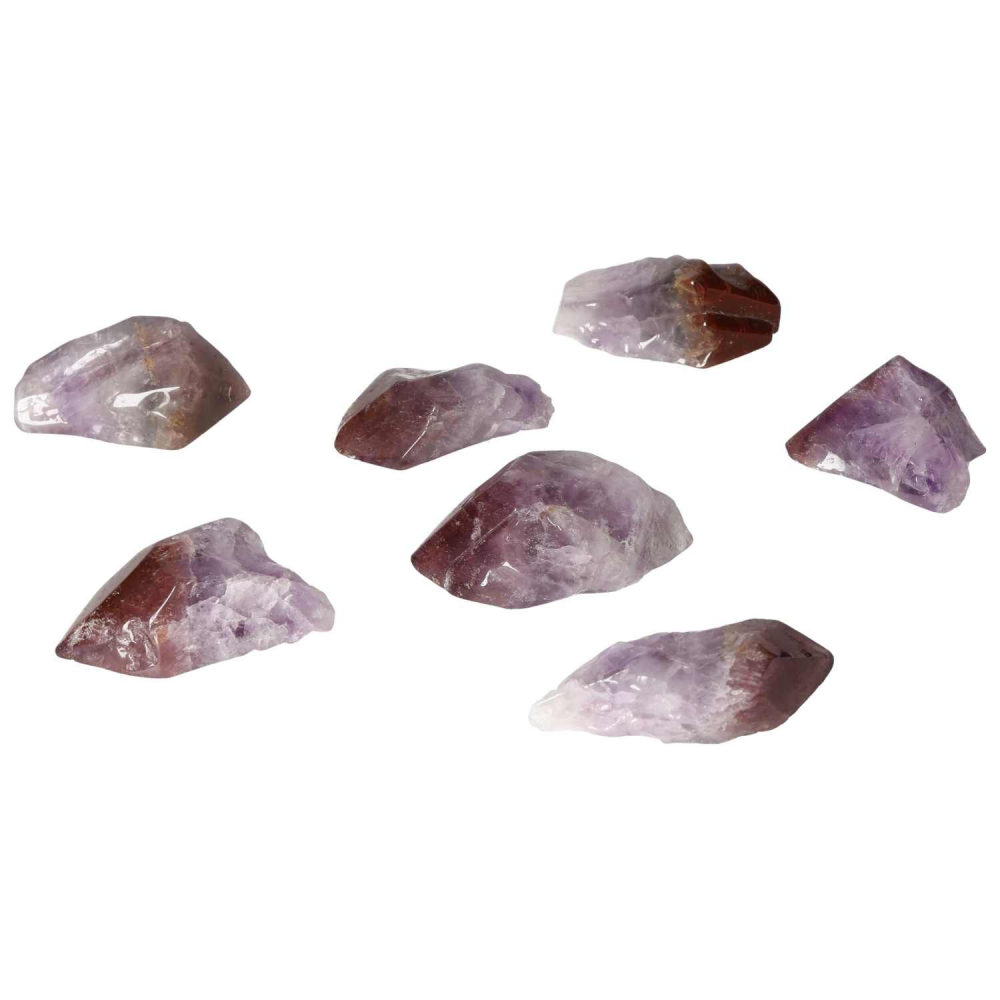 orbitvu|type:image2d