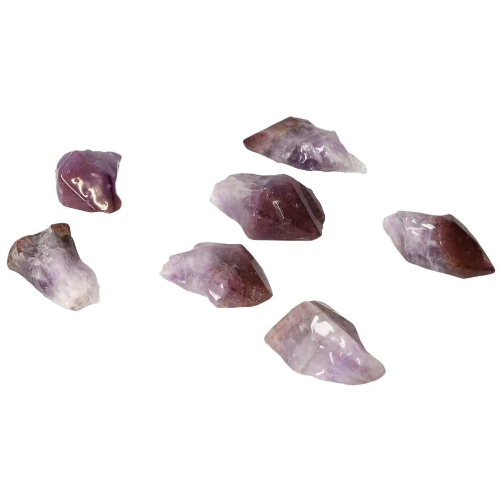 orbitvu|type:image2d