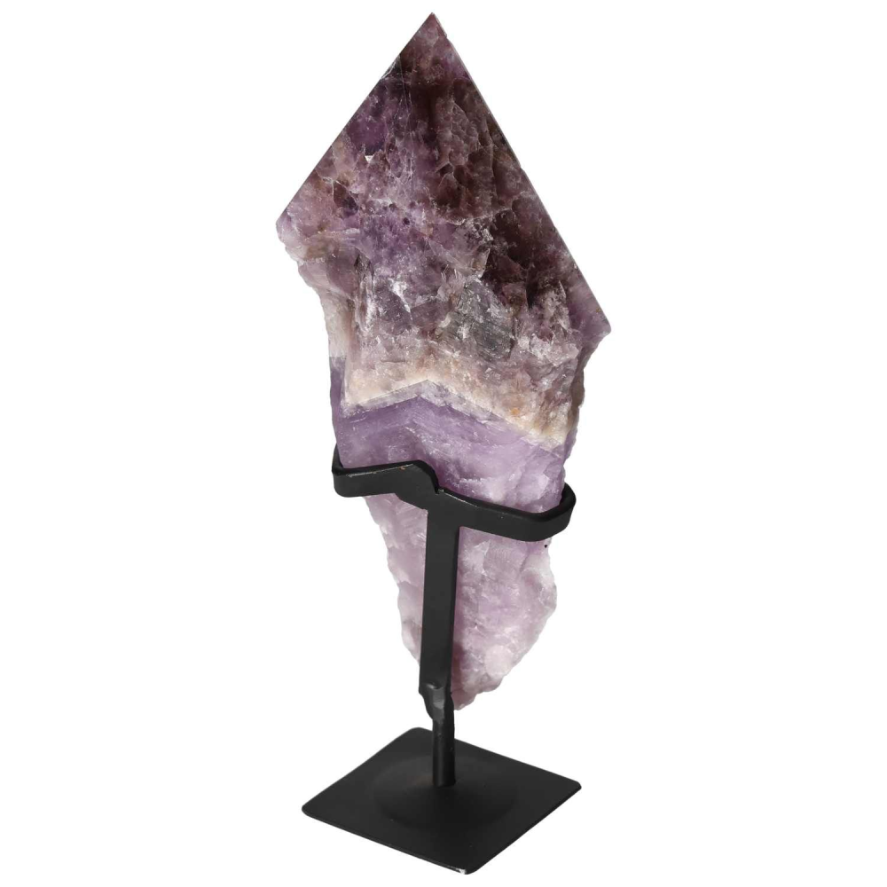 orbitvu|type:image2d