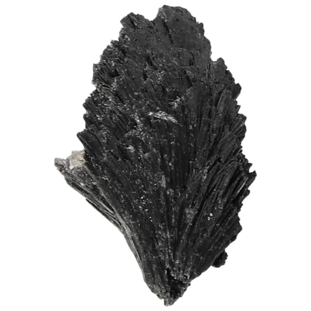 Black Kyanite crystal by Sylvia Crystals, known for deep introspection benefits and enhancing meditation; premium quality and authentic.