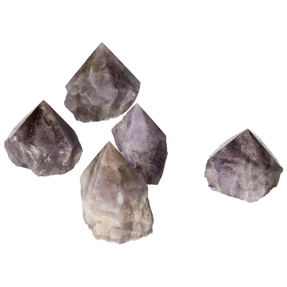 orbitvu|type:image2d
