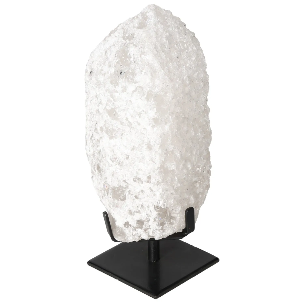 orbitvu|type:image2d