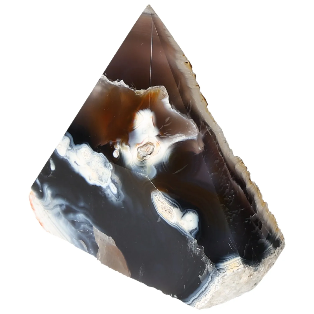 orbitvu|type:image2d