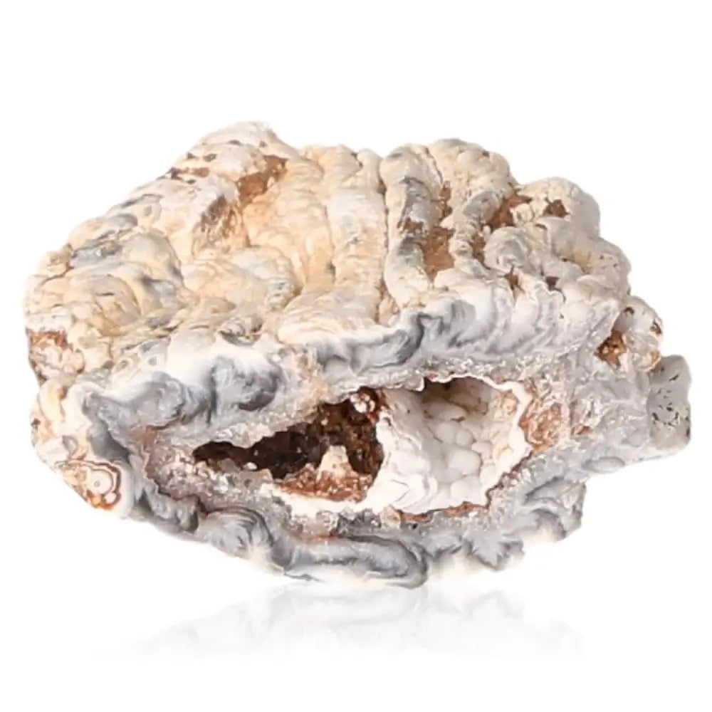 Mini Agate Geode showcasing natural patterns and colors, perfect for decor and promoting harmony.