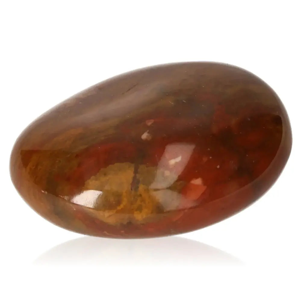 Smooth tumbled petrified wood stone with rich earthy colors symbolizing grounding and ancient wisdom.