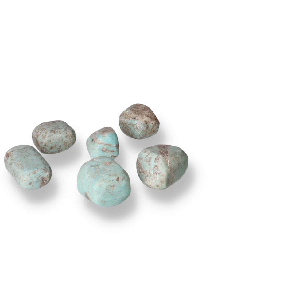 orbitvu|type:ORBITVU 360|https://orbitvu.co/share/8CNVBFRmvhxJcw2eKNUKpH/6469084/360/iframe