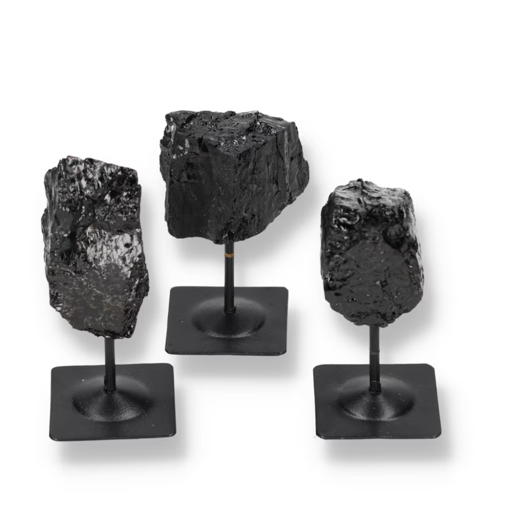 orbitvu|type:ORBITVU 360|https://orbitvu.co/share/2HQgYNQqm7yjHStRC3nhm9/6488212/360/iframe