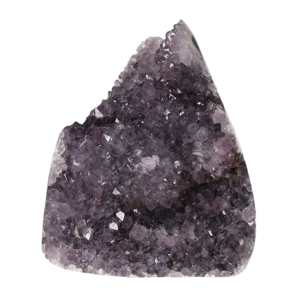 orbitvu|type:ORBITVU 360|https://orbitvu.co/share/nTseZa868VGYJSy2ZmeXJ8/6491496/360/iframe