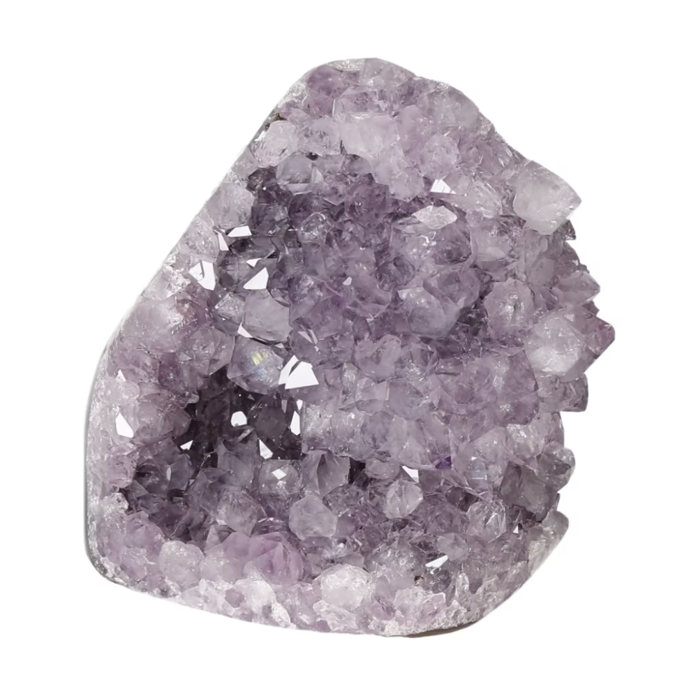 orbitvu|type:ORBITVU 360|https://orbitvu.co/share/8DiBfy2y3P9WiWHM6ryKHh/6496421/360/iframe