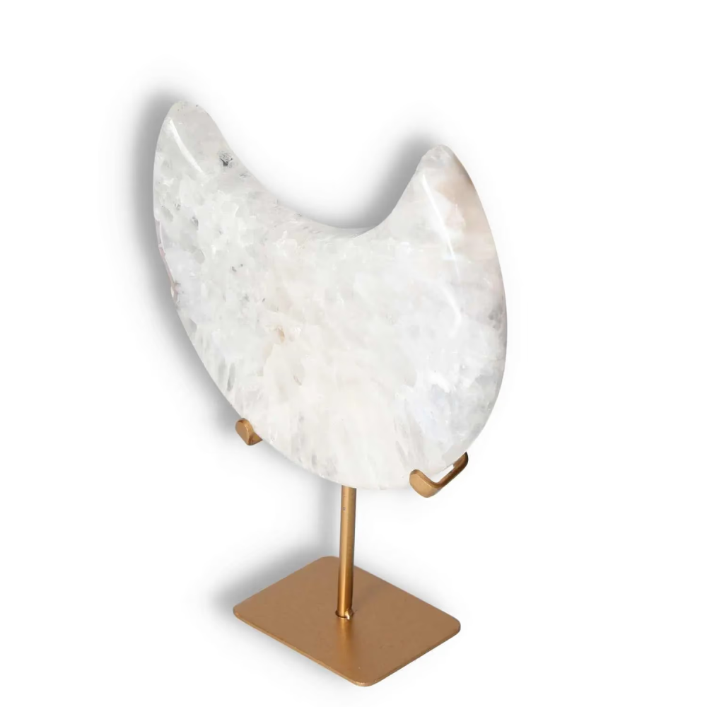orbitvu|type:image2d