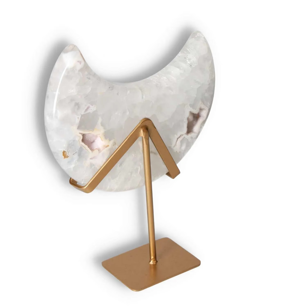 orbitvu|type:image2d
