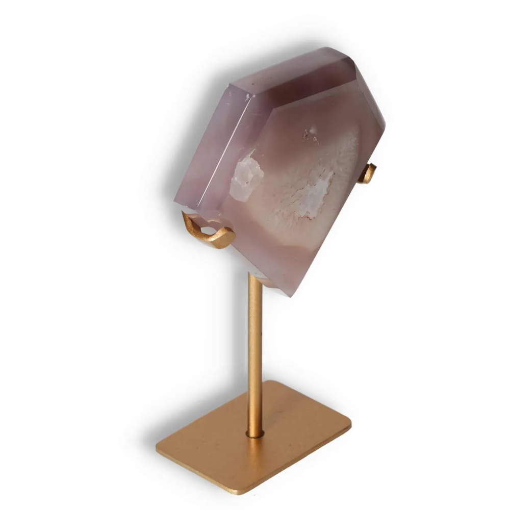 orbitvu|type:image2d