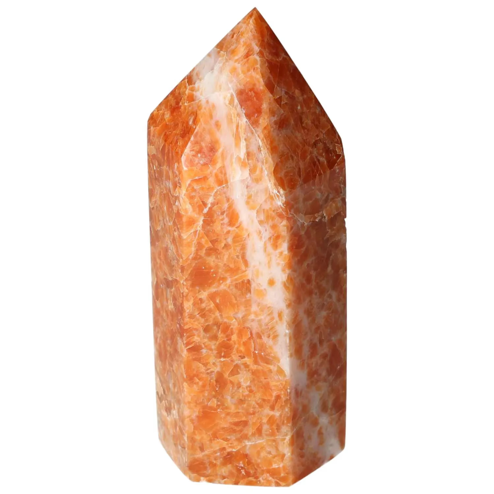 orbitvu|type:image2d
