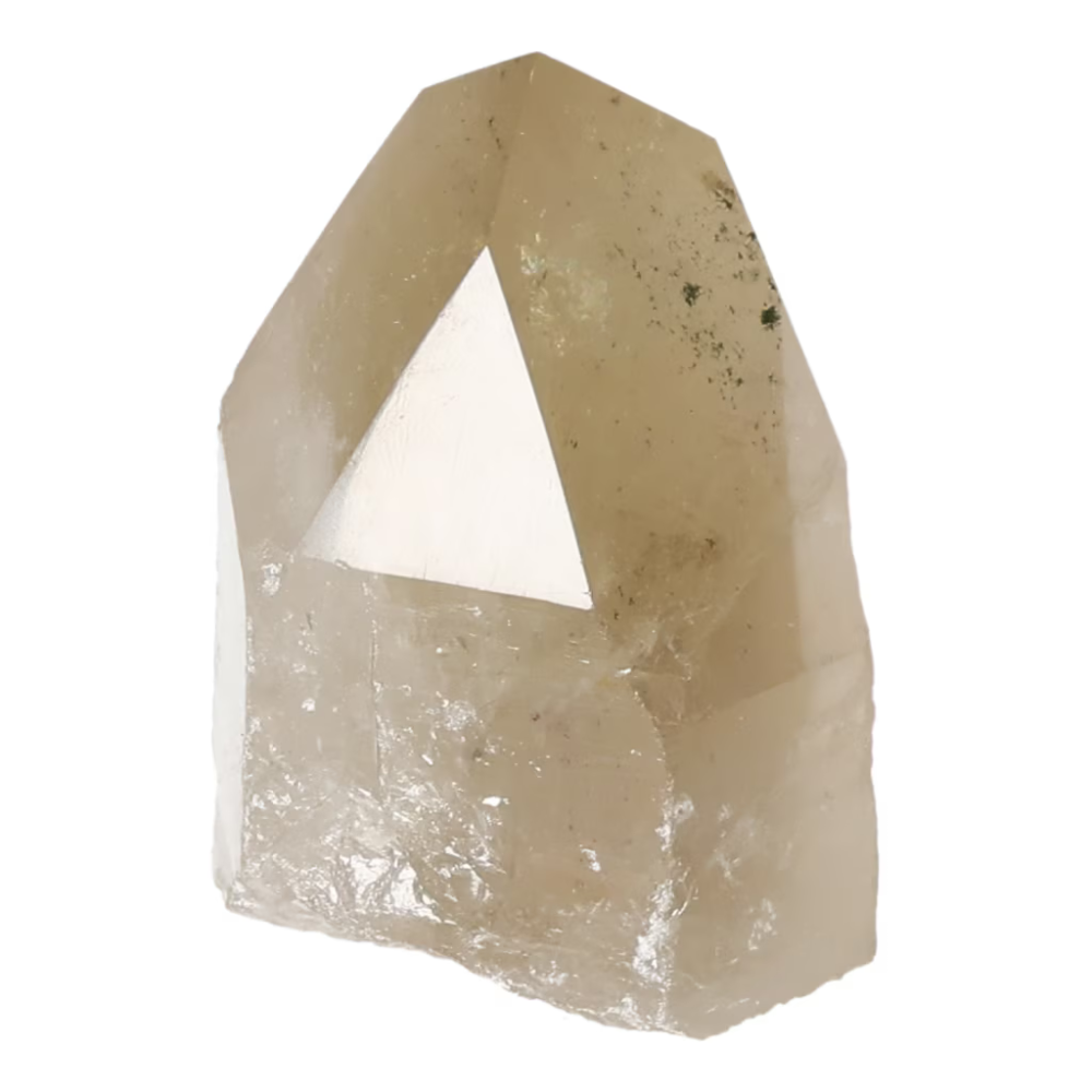 orbitvu|type:ORBITVU 360|https://orbitvu.co/share/Qi7KheLSdM8BCCvX5Qszaj/6512140/360/iframe
