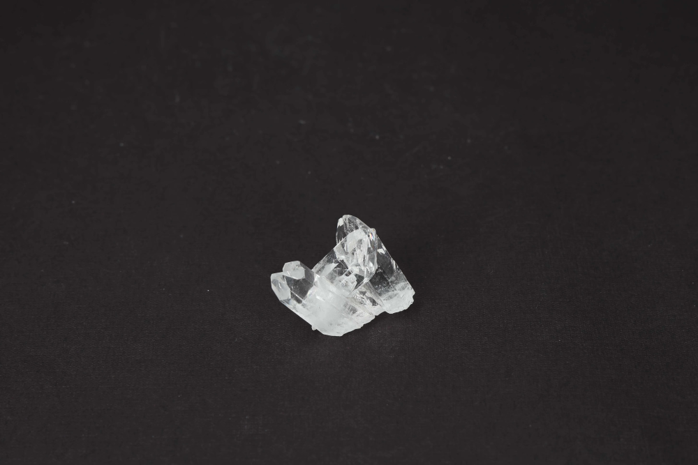 orbitvu|type:image2d