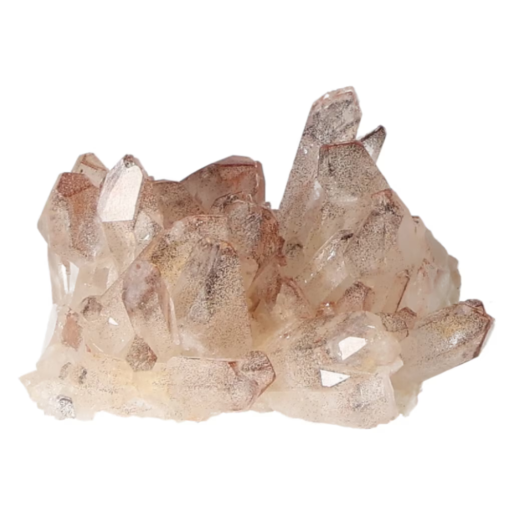 orbitvu|type:ORBITVU 360|https://orbitvu.co/share/c7za8SaLq8MZmgarg9pU5S/6529493/360/iframe