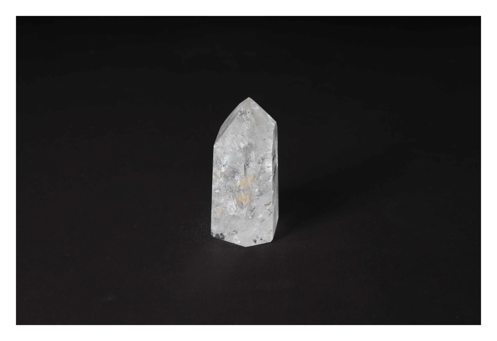 orbitvu|type:image2d