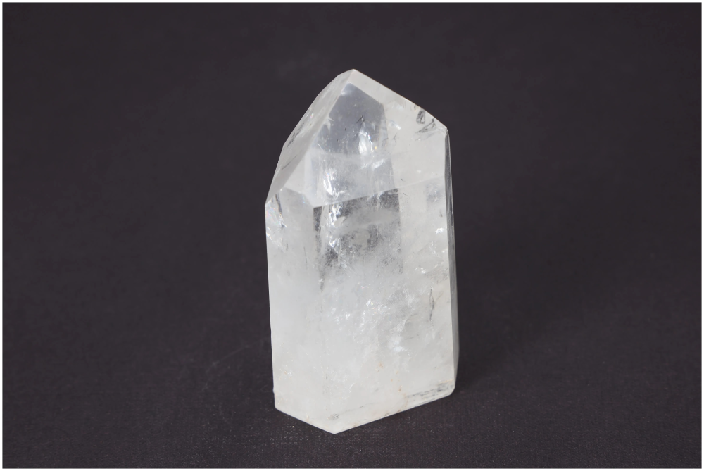 orbitvu|type:image2d