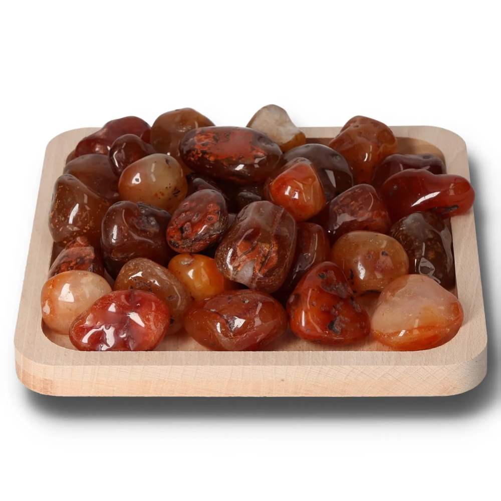 orbitvu|type:image2d