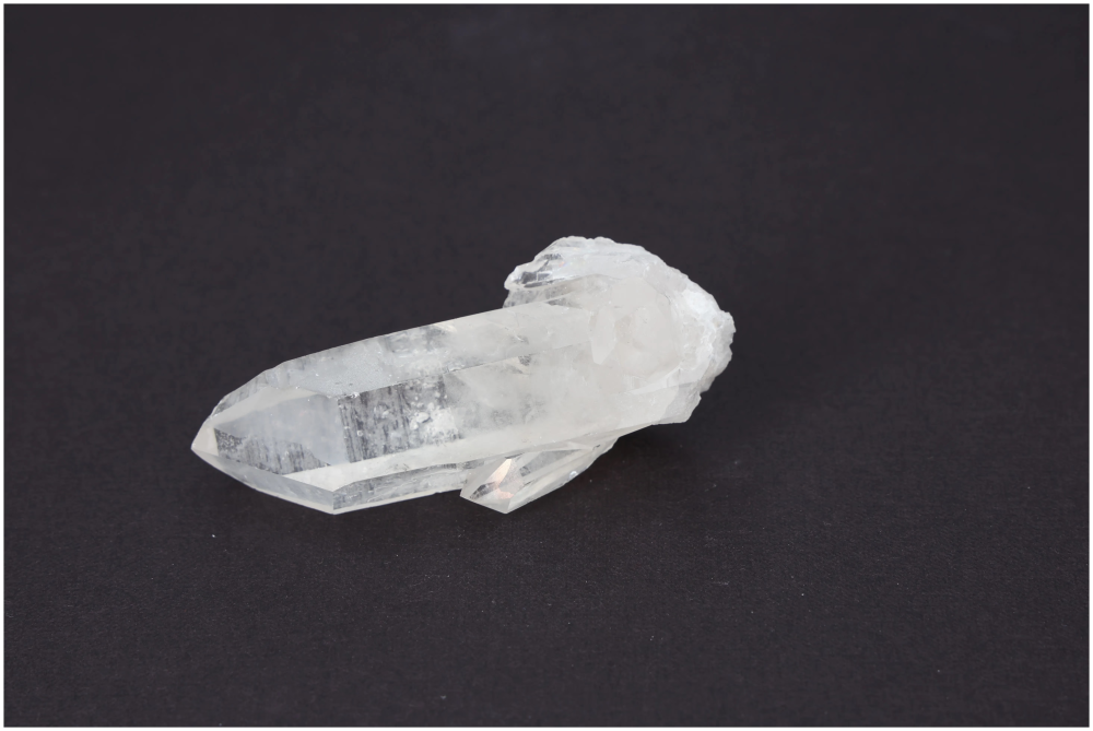 orbitvu|type:image2d