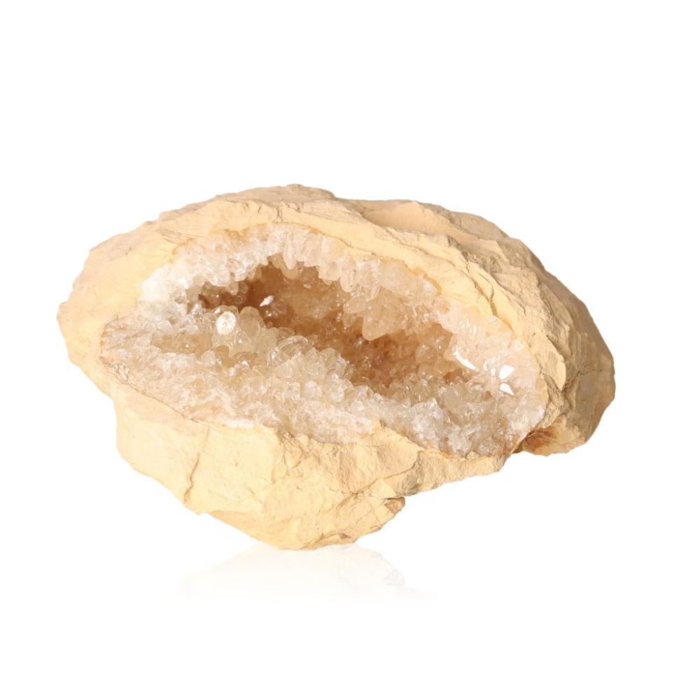 orbitvu|type:ORBITVU 360|https://orbitvu.co/share/f2TSxqfM3NW8itJxJPSQX4/6374825/360/iframe