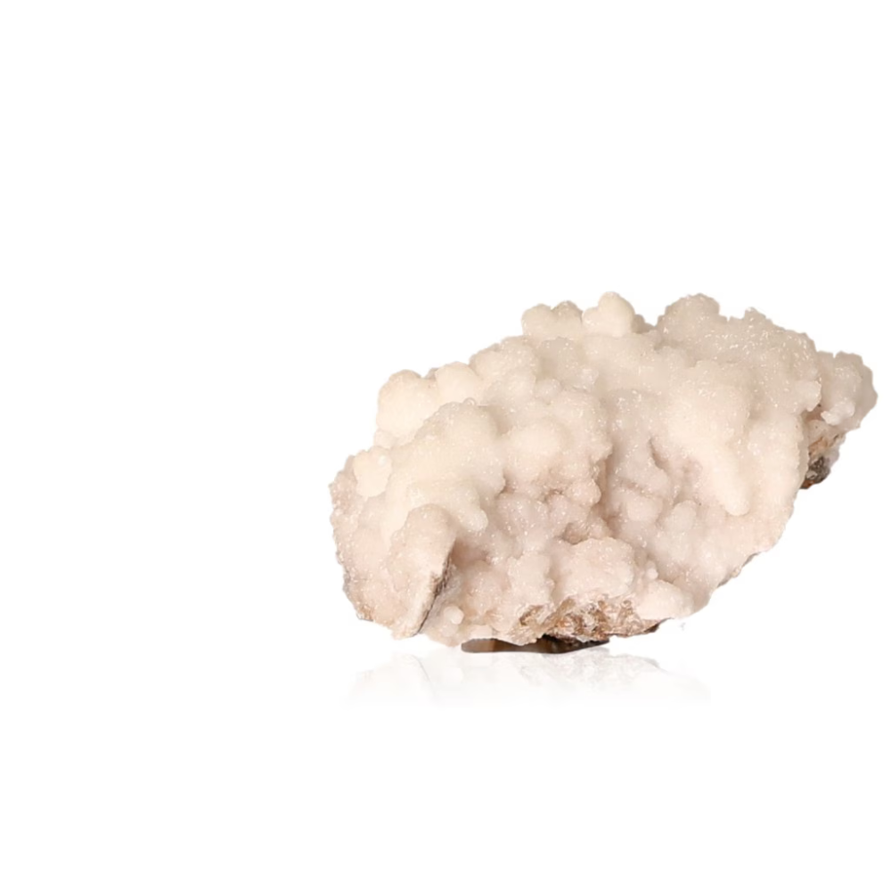 orbitvu|type:ORBITVU 360|https://orbitvu.co/share/pW3aFybGJDb9hbiWBCVHWd/6389887/360/iframe