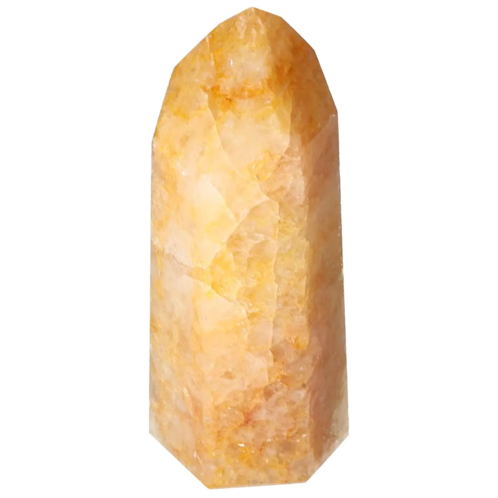 orbitvu|type:image2d