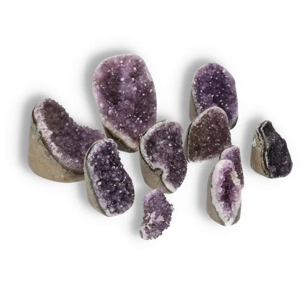 Variety of amethyst cut base geodes showcasing vibrant purple hues, perfect for spiritual wellness and luxurious decor.