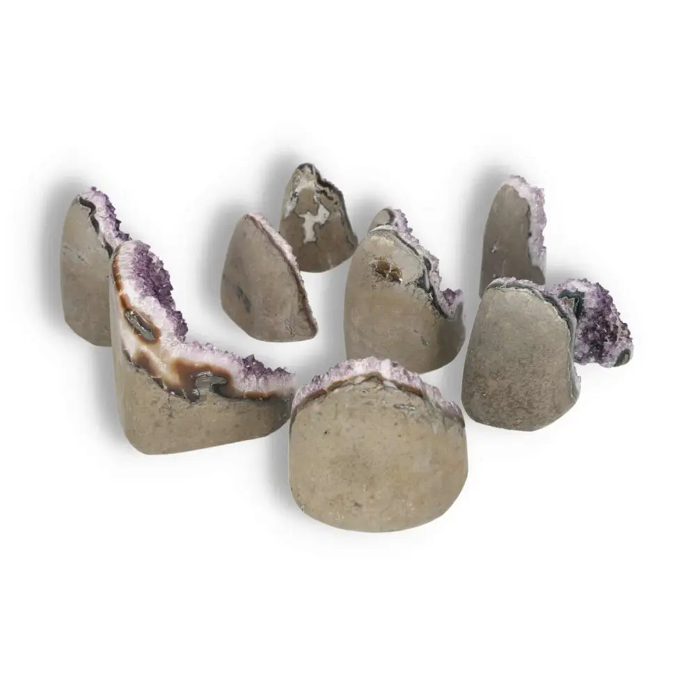 Amethyst cut base geodes from Sylvia Crystals, showcasing natural beauty and spiritual wellness, 0.1-1 kg size range.