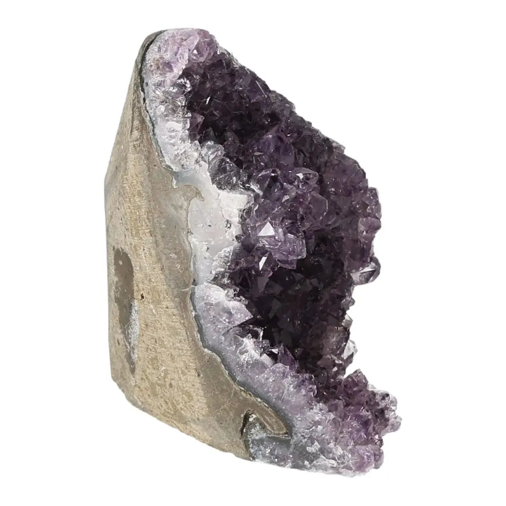 Stunning Amethyst cut base geode from Sylvia Crystals, showcasing rich purple crystals for enhancing concentration and emotional stability.
