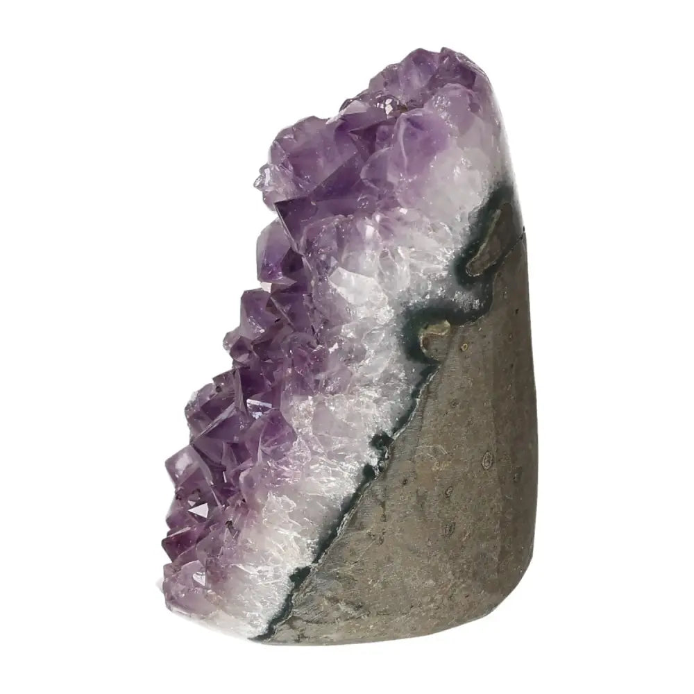 Amethyst cut base geode showcasing vibrant purple hues, offered by Sylvia Crystals, enhancing emotional stability and luxury aesthetics.