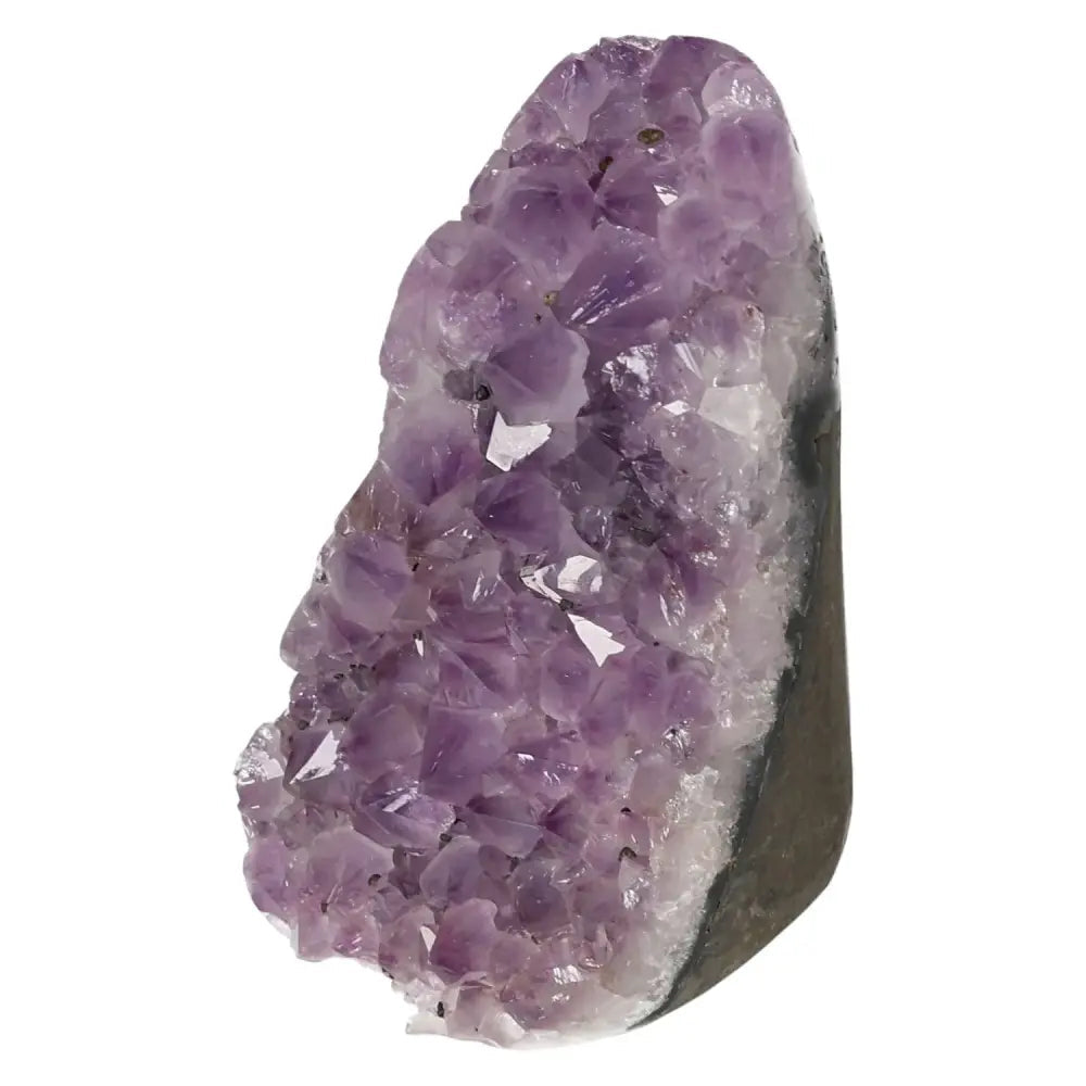 Premium Amethyst cut base geode from Sylvia Crystals, showcasing its elegant purple hues and luxurious natural formation.