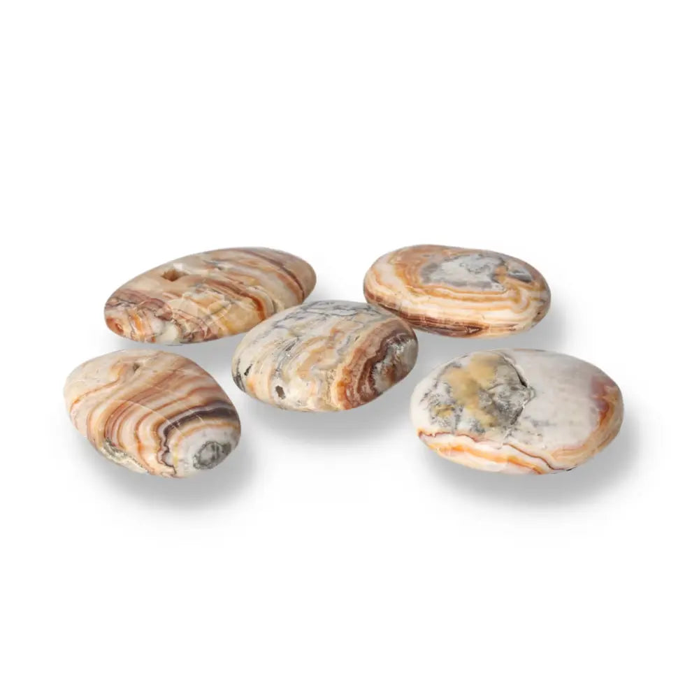 Brown Aragonite Palm Stones displaying earthy tones, perfect for meditation and stress relief.