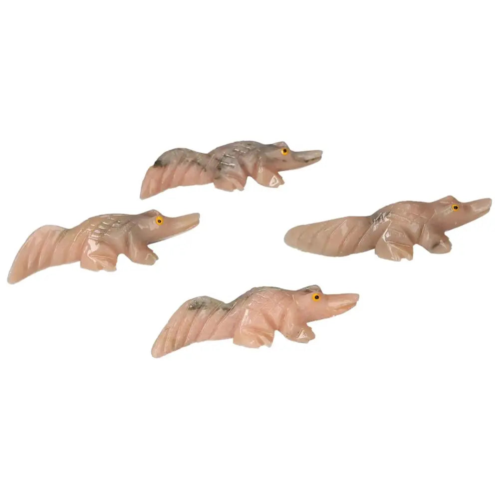 orbitvu|type:image2d