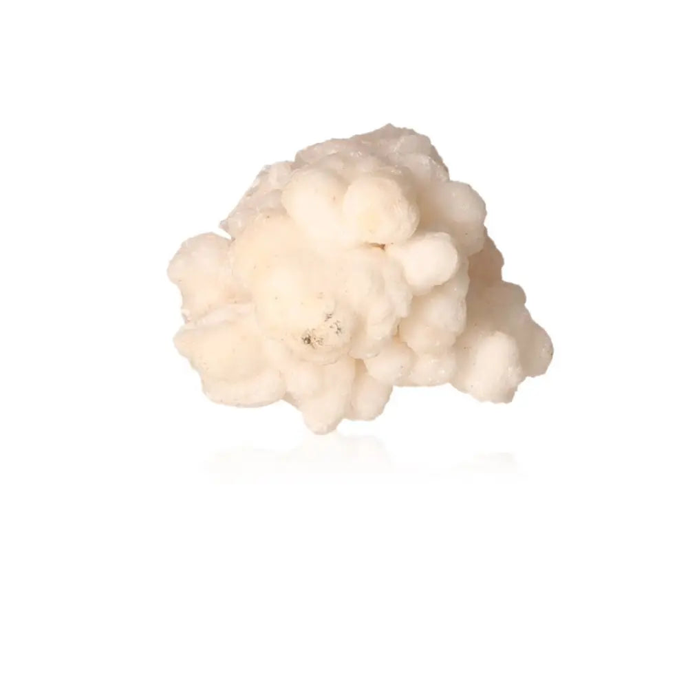 Cave Calcite Stalactite Cluster - Natural mineral formation with intricate texture, showcasing Earth's beauty in white crystalline form.